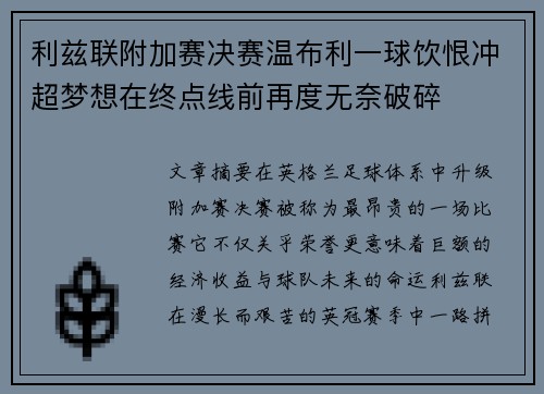 利兹联附加赛决赛温布利一球饮恨冲超梦想在终点线前再度无奈破碎
